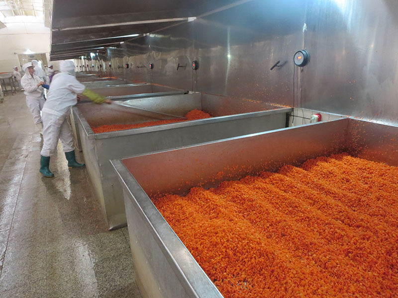 Production site of dehydrated carrot